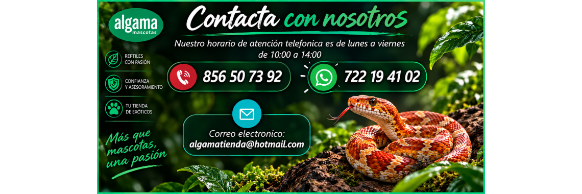 Contacto